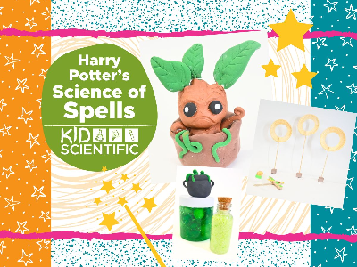Harry Potter’s Science of Spells Mini-Camp (5-12 Years)